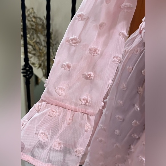 Woven Pink SWISS DOT, V NECK RUFFLE TRIM LONG SLEEVE FEMININE MINI DRESS SIZE M - Picture 10 of 13